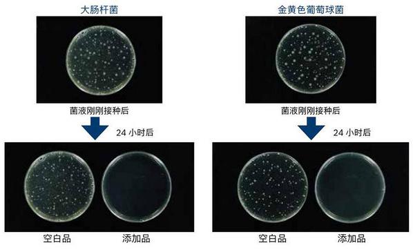 圖片1-6.jpg